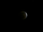 IMG_1777-1_640.jpg