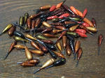 2011_12180129_640.JPG