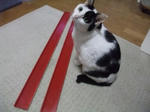 2012_03180004_640.JPG