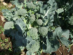 2012_04010008_640.JPG