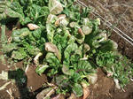 2012_04010009_640.JPG
