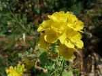 2012_04010014_640.JPG