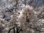 2012_04010018_640.JPG