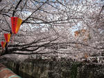 2012_04070007_640.JPG