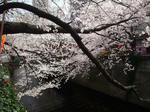 2012_04070020_640.JPG