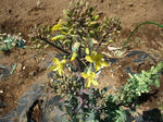 2012_04080004_640.JPG