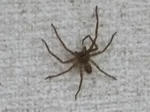 2012_04150007.JPG
