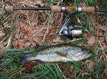 DSCF4615_640.jpg
