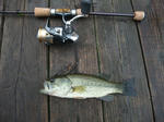 DSCF4617_640.jpg