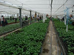 2012_05060116_256.JPG