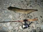 2012_05190034_640.JPG