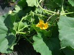 2012_06100003_640.JPG