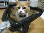2012_07080039_640.JPG