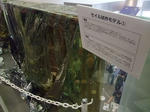 2012_07280017_640.JPG
