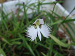 2012_07290003_640.JPG