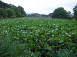 2012_08170052_640.JPG