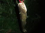 2012_08240003_640.JPG