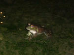 2012_08250001_640.jpg
