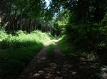 2012_08170247_640.JPG