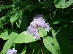 2012_08170253_640.JPG