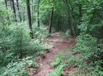 2012_08170272_640.JPG