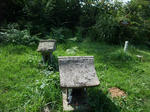 2012_08170262_640.JPG
