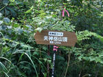 2012_08170263_640.JPG