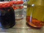 2012_09090011_640.JPG