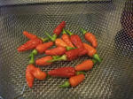 2012_09090012_640.JPG