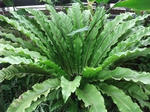 2012_09220062_640.JPG