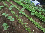 2012_09300011_640.JPG