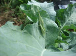 2012_09300012_640.JPG