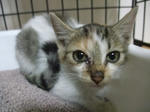 2012_10070115_640.JPG