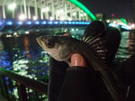 2012_12010096_640.JPG