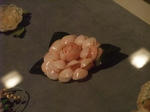 2012_12010035_640.JPG