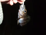 2013_01040041_640.JPG