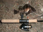 2013_01040045_640.JPG