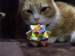 2013_01060017_640.JPG
