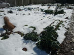 2013_01190028_640.JPG