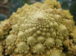 DSCF8275_640.jpg