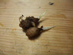 DSCF8330_640.jpg