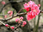 IMG_2048_640.jpg
