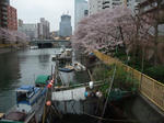 DSCF8433_640.jpg