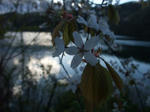 DSCF8957_640.jpg