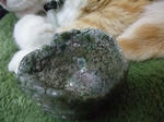 DSCF9078_640.jpg