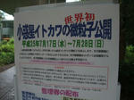 DSCF9746_1024.jpg