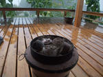 DSCF9900_640.jpg
