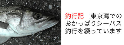 釣行記