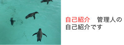 自己紹介