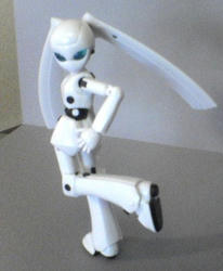 DSC00243.JPG